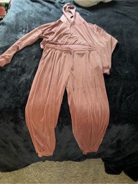 Plush Velour Jogger Set in Dusty Rose